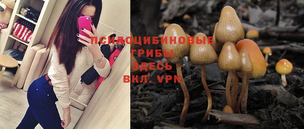 трава Нея