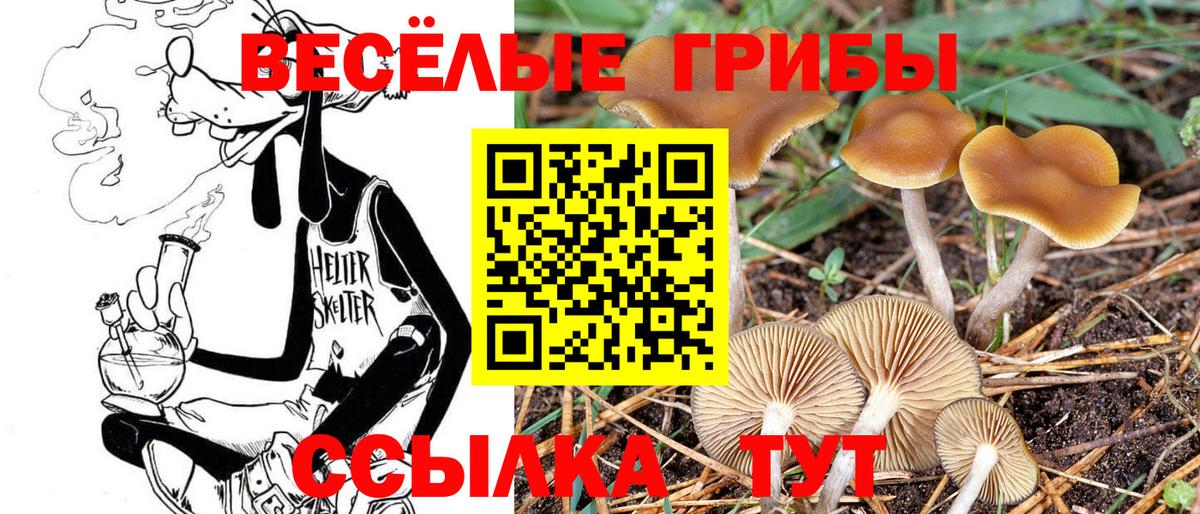Псилоцибиновые грибы GOLDEN TEACHER Нягань