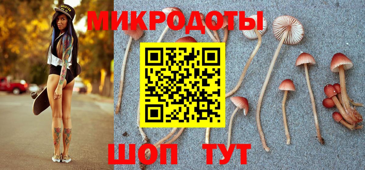 Галлюциногенные грибы Psilocybine cubensis Нягань